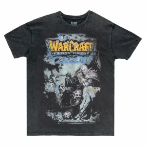 Culture Studio Warcraft Frozen Throne Grey T-Shirt